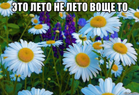 это лето не лето воще то 