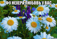 фу нехера любовь у вас 