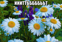 иииттьббббььт 