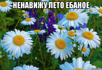 ненавижу лето ебаное 