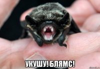  укушу! блямс!