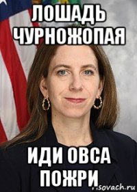 лошадь чурножопая иди овса пожри