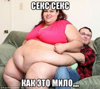 секс секс как это мило,,,,
