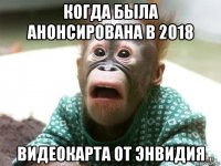 когда была анонсирована в 2018 видеокарта от энвидия