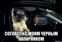  согласен с моим черным напарником