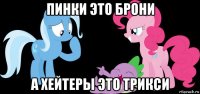 пинки это брони а хейтеры это трикси