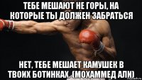 тебе мешают не горы, на которые ты должен забраться нет, тебе мешает камушек в твоих ботинках. (мохаммед али)