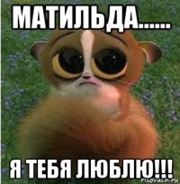 матильда...... я тебя люблю!!!