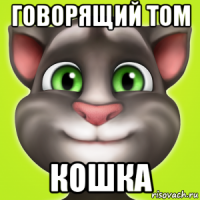 говорящий том кошка