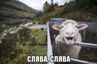  слява, слява