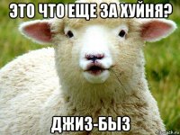 это что еще за хуйня? джиз-быз