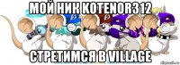 мой ник kotenor312 стретимся в village