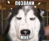 позвани мне