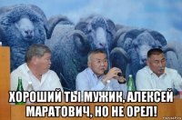  хороший ты мужик, алексей маратович, но не орел!