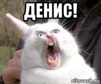 денис! 