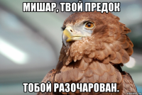 мишар, твой предок тобой разочарован.