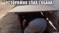 осторожно злая собака! 