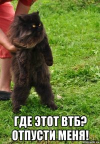 где этот втб? отпусти меня!