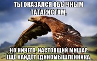 ты оказался обычным татаристом, но ничего, настоящий мишар ещё найдёт единомышленника.