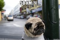 50 км/ч ... 