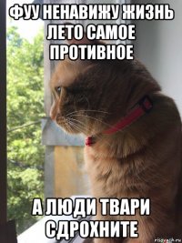 фуу ненавижу жизнь лето самое противное а люди твари сдрохните