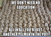 we don't need no education all in all you'r just another pelmen in the pot