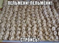пельмени! пельмени! стройсь!