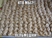 кто мы?! пельмешки!