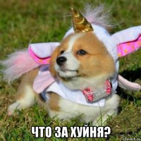  что за хуйня?