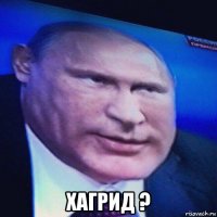  хагрид ?