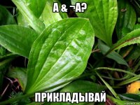а & ¬а? прикладывай