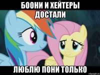 боони и хейтеры достали люблю пони только