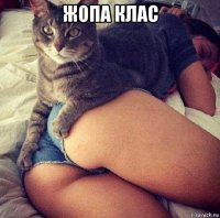 жопа клас 