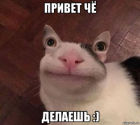 привет чё делаешь :)