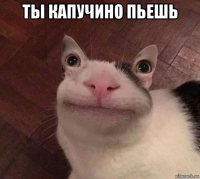 ты капучино пьешь 