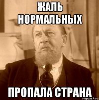 жаль нормальных пропала страна