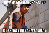 шумер, майданскакаль? в бригаду ни вазму,пшёль