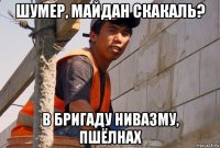 шумер, майдан скакаль? в бригаду нивазму, пшёлнах