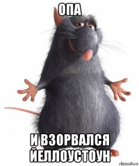 опа и взорвался йеллоустоун