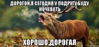 дорогой,я сегодня у подругу буду ночевать хорошо,дорогая