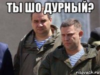ты шо дурный? 