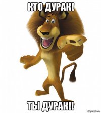 кто дурак! ты дурак!!