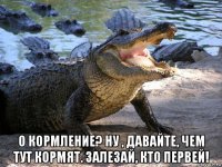  о кормление? ну , давайте, чем тут кормят. залезай, кто первей!