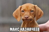  макс казначеев