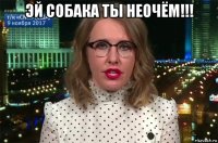 эй собака ты неочём!!! 