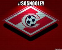 #sosnooley 