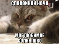 спокойной ночи мое любимое солнышко