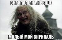 скрипаль на крыше милый мой скрипаль