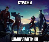 стражи шмарлактики