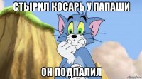 стырил косарь у папаши он подпалил